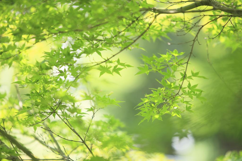 Oushuku Onsen Choeikan Shizukuishi Ngoại thất bức ảnh